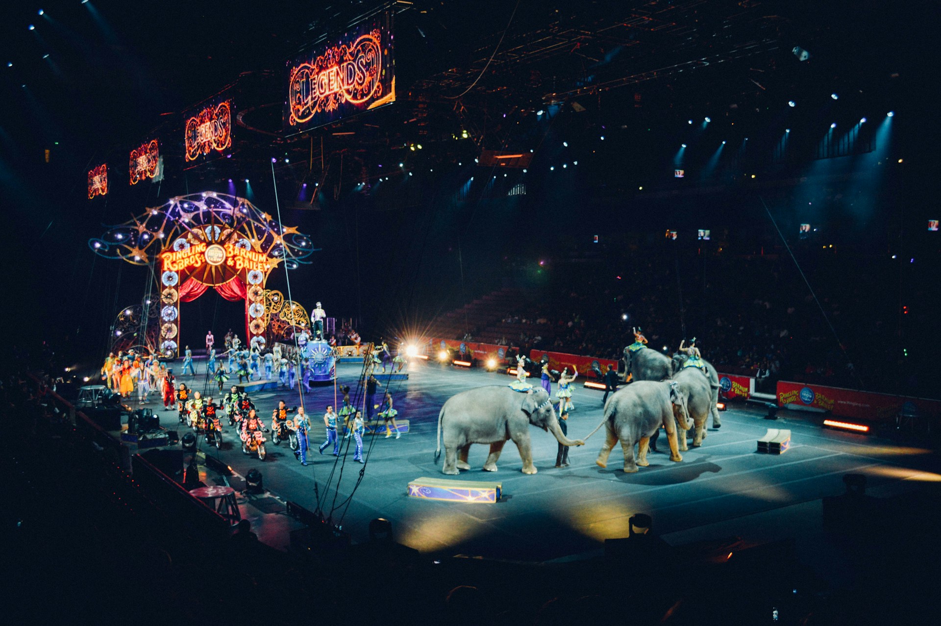 Spettacoli di circo: come scegliere la biglietteria online